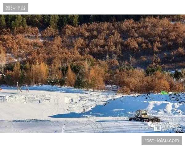 保险精算模型强行引入雪场索道刷卡与救援直升机出动频次
